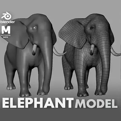 Elephant Model Low-poly 3D model