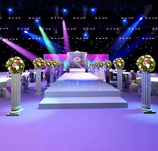 Concert party carnival stage 84