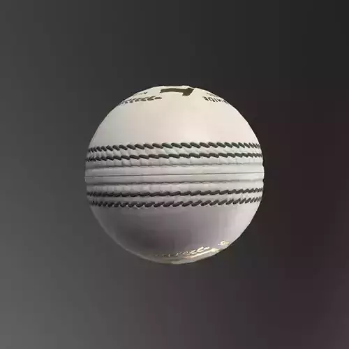 Cricket Ball white