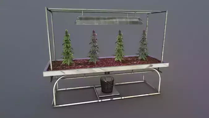 Weed Grow Rack with Cannabis Plants Game Ready Model Low-poly 3D model