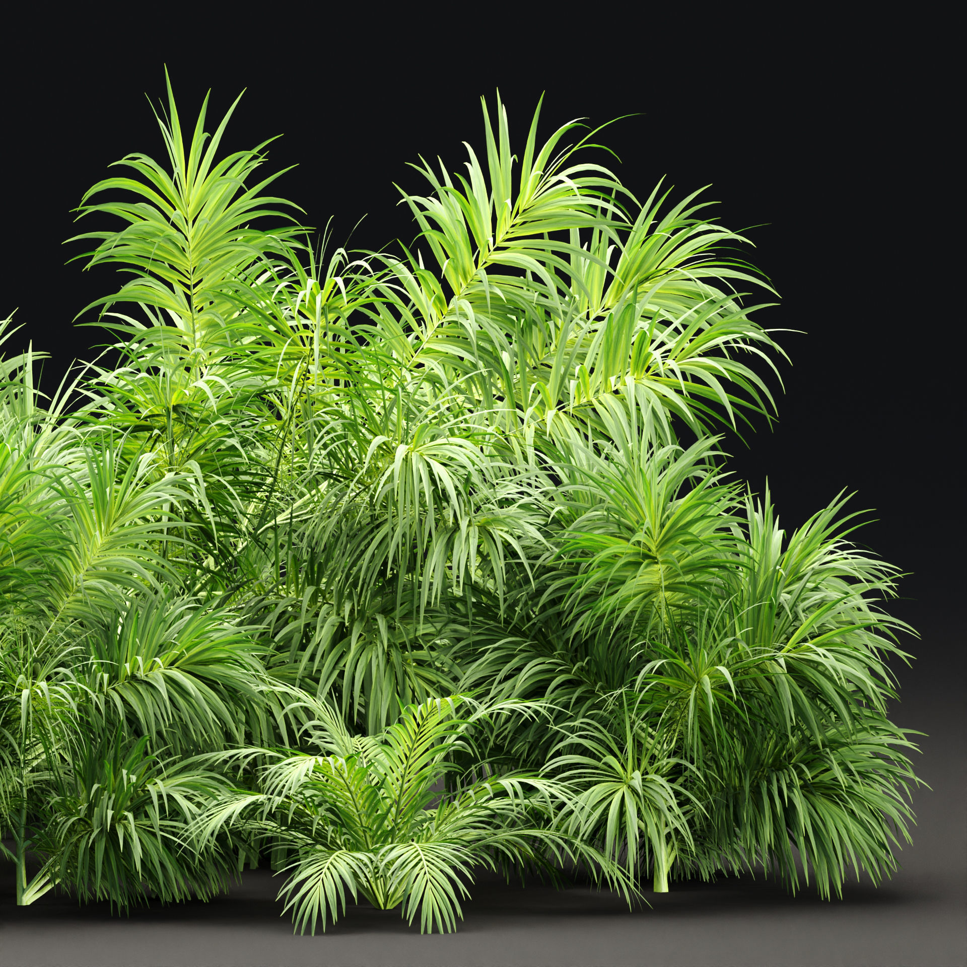 Plants collection vol 237 3D model_1
