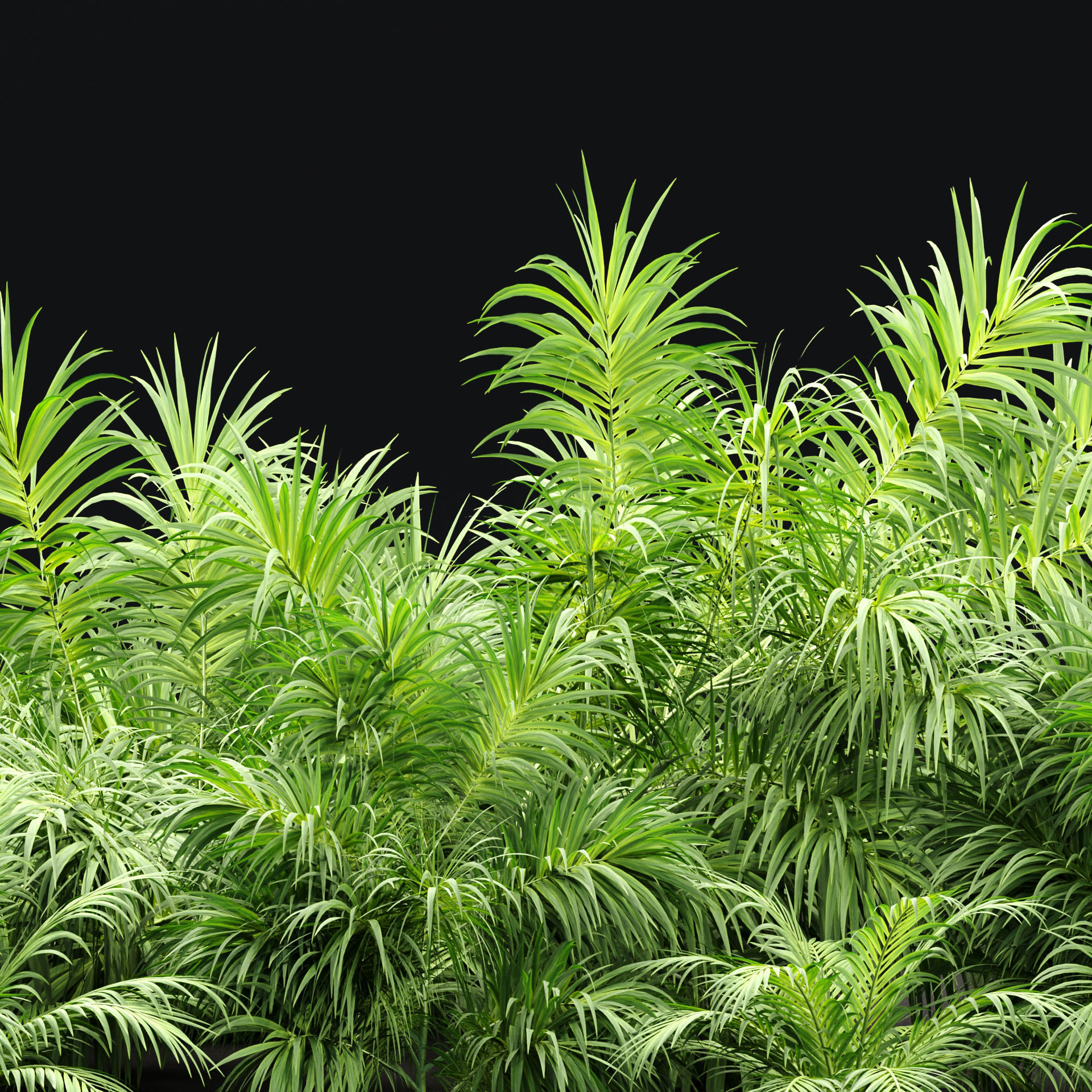 Plants collection vol 237 3D model_3