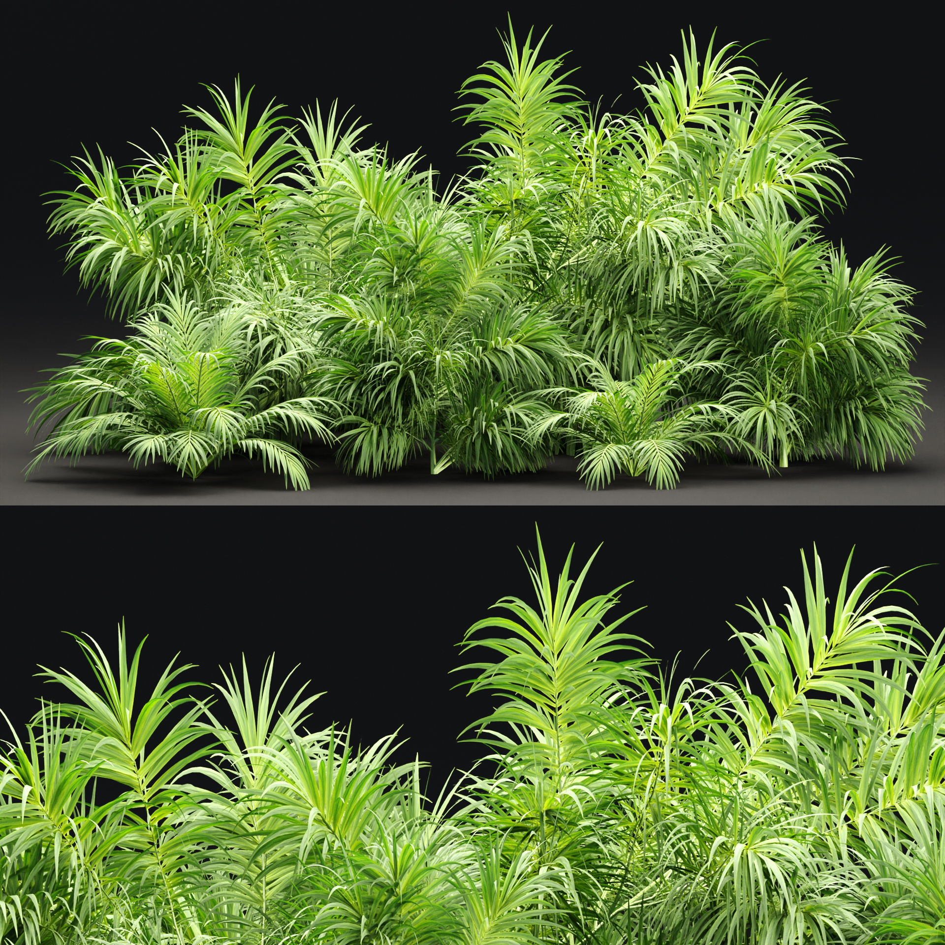 Plants collection vol 237 3D model_4