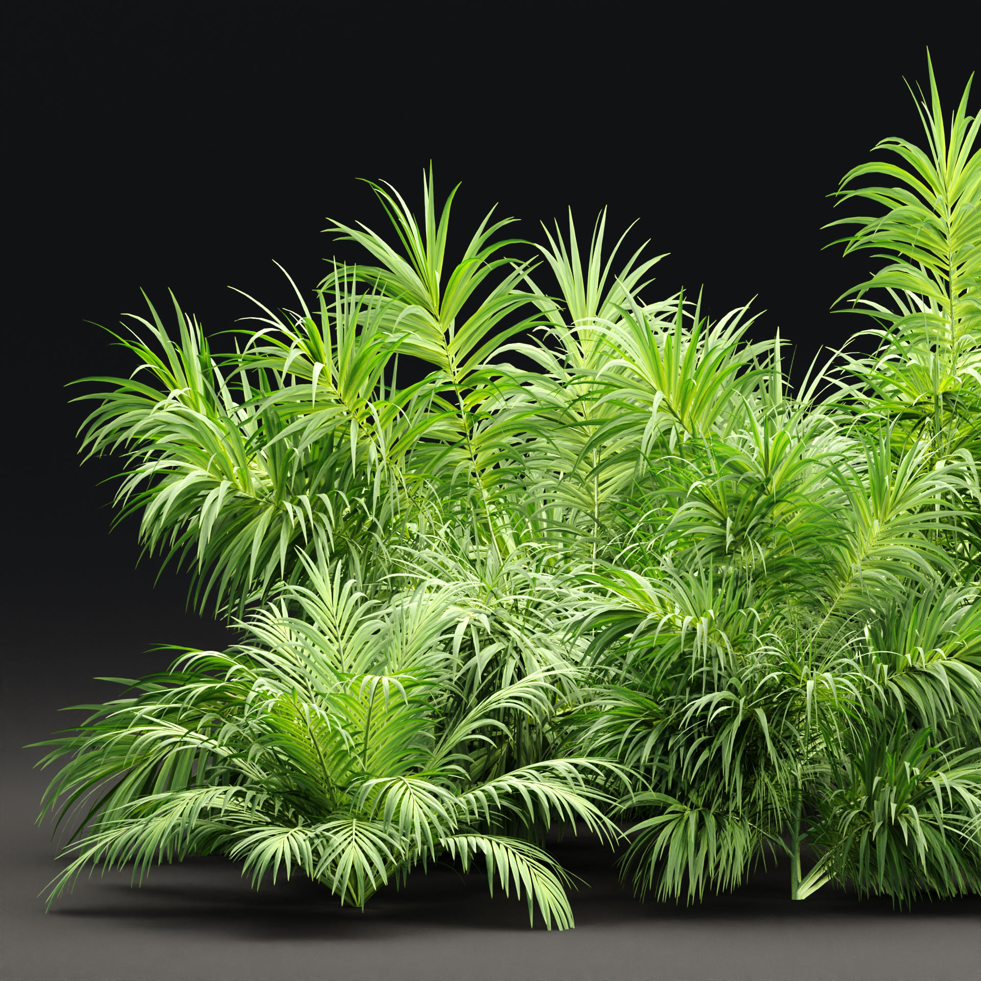 Plants collection vol 237 3D model_2