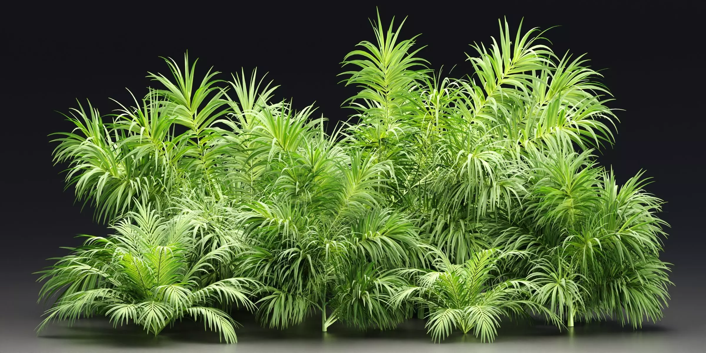 Plants collection vol 237 3D model_0