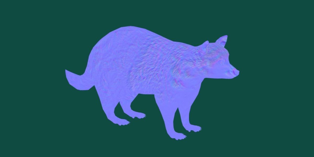 Common Raccoon Dog Animal Low-poly 3D model_25