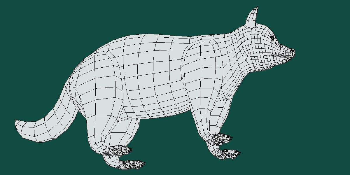 Common Raccoon Dog Animal Low-poly 3D model_13