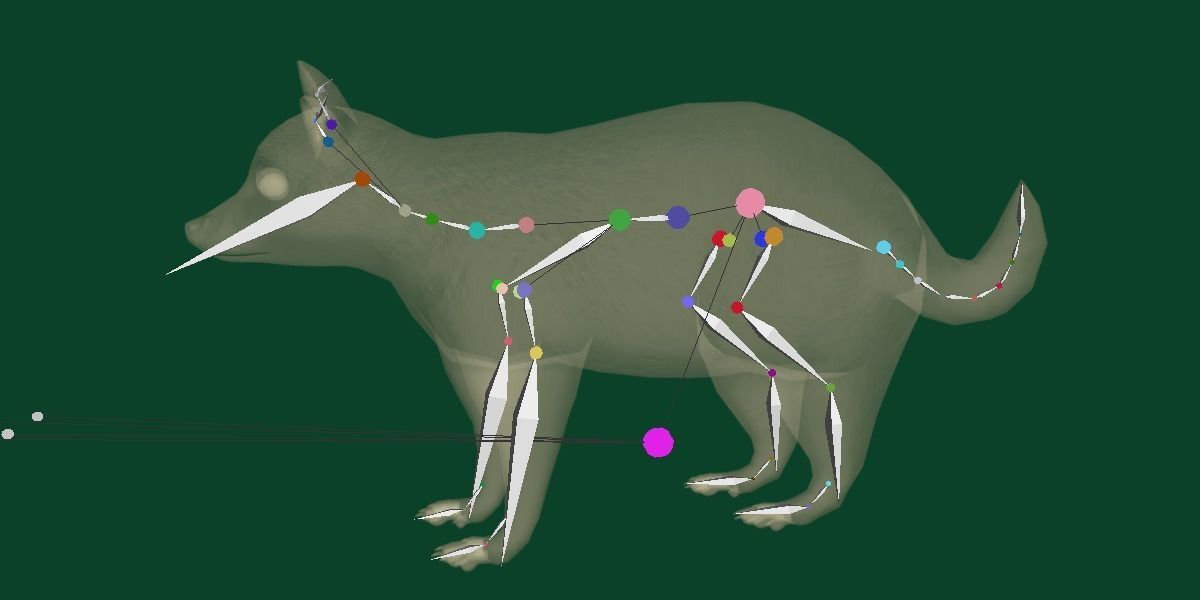 Common Raccoon Dog Animal Low-poly 3D model_8