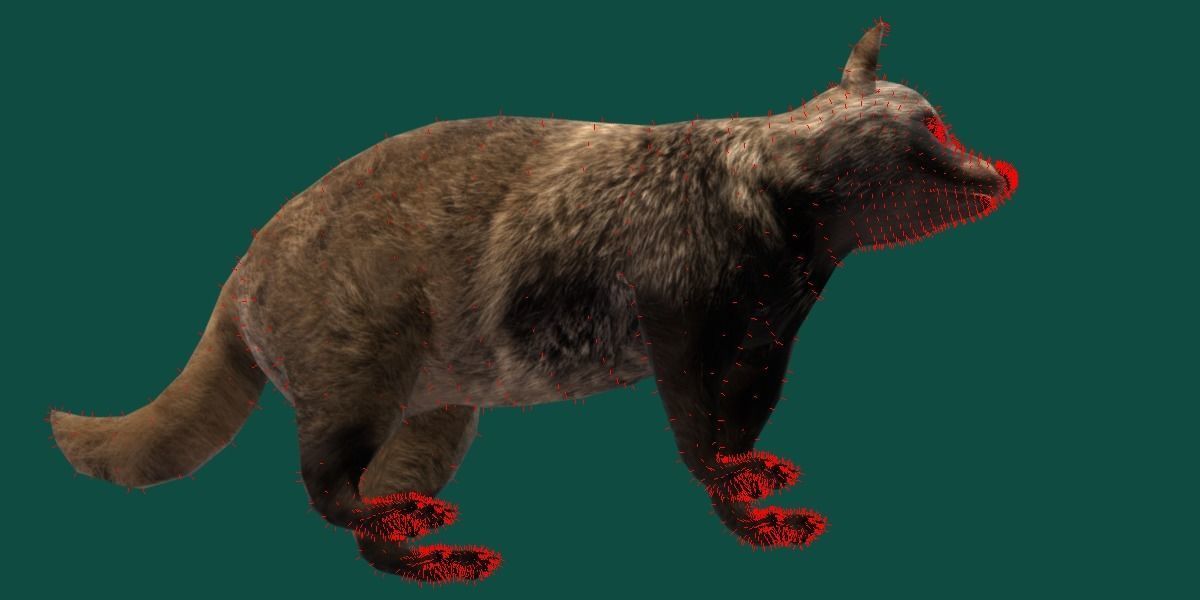 Common Raccoon Dog Animal Low-poly 3D model_14