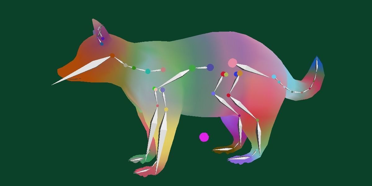 Common Raccoon Dog Animal Low-poly 3D model_9