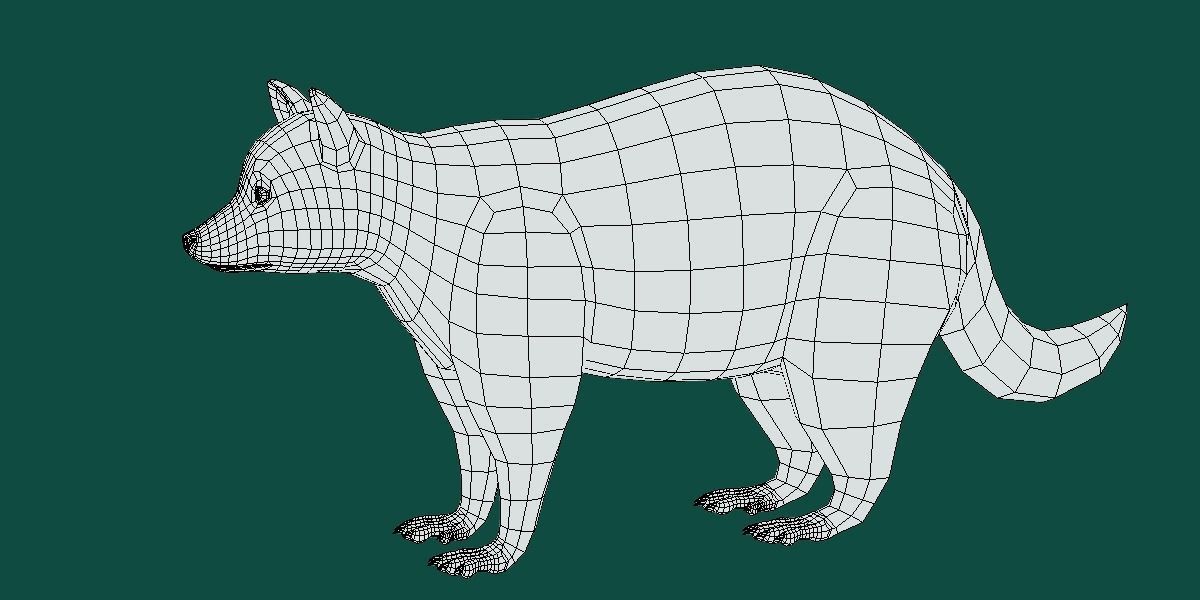 Common Raccoon Dog Animal Low-poly 3D model_12
