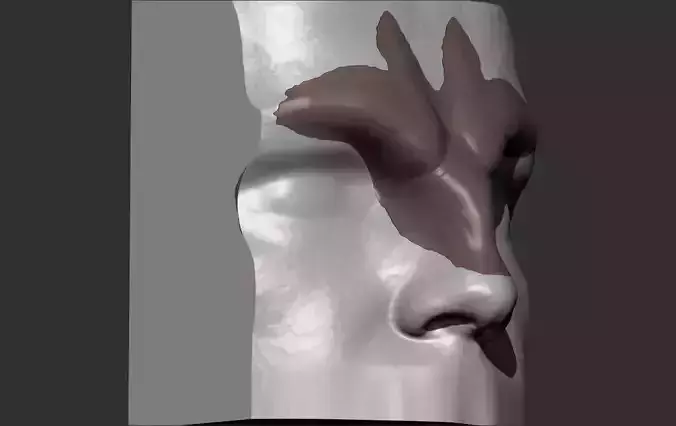 Prosthetic Nose Mold