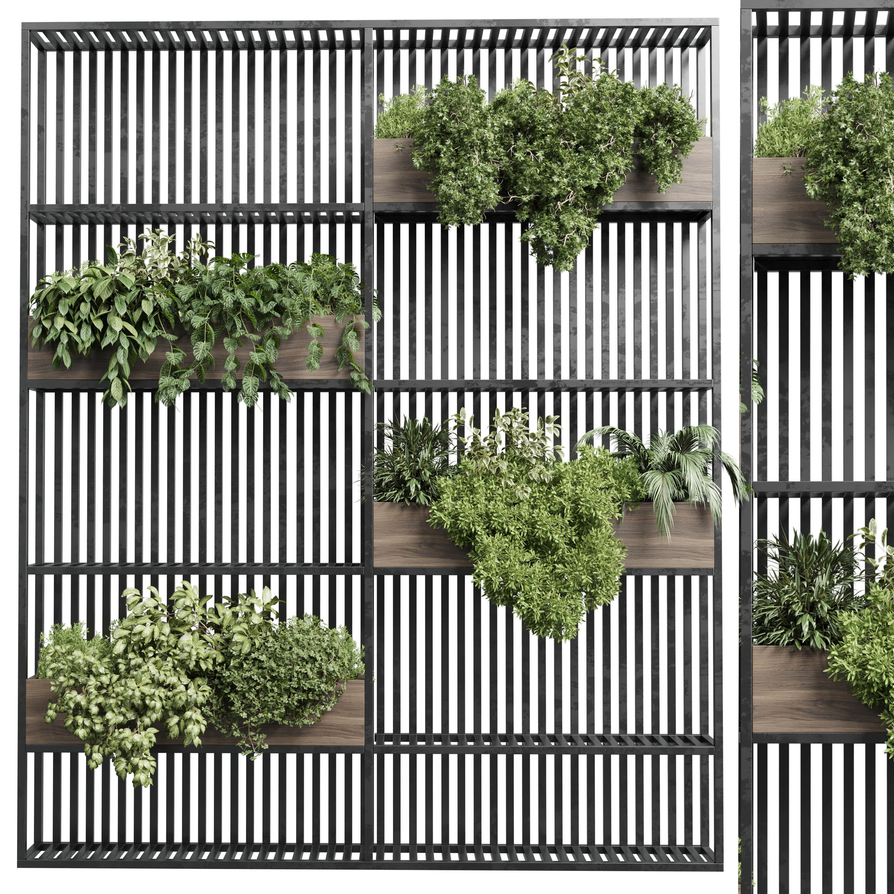 Stand metal shelf with wall plant - hanging plants balcony  Low-poly 3D model_1