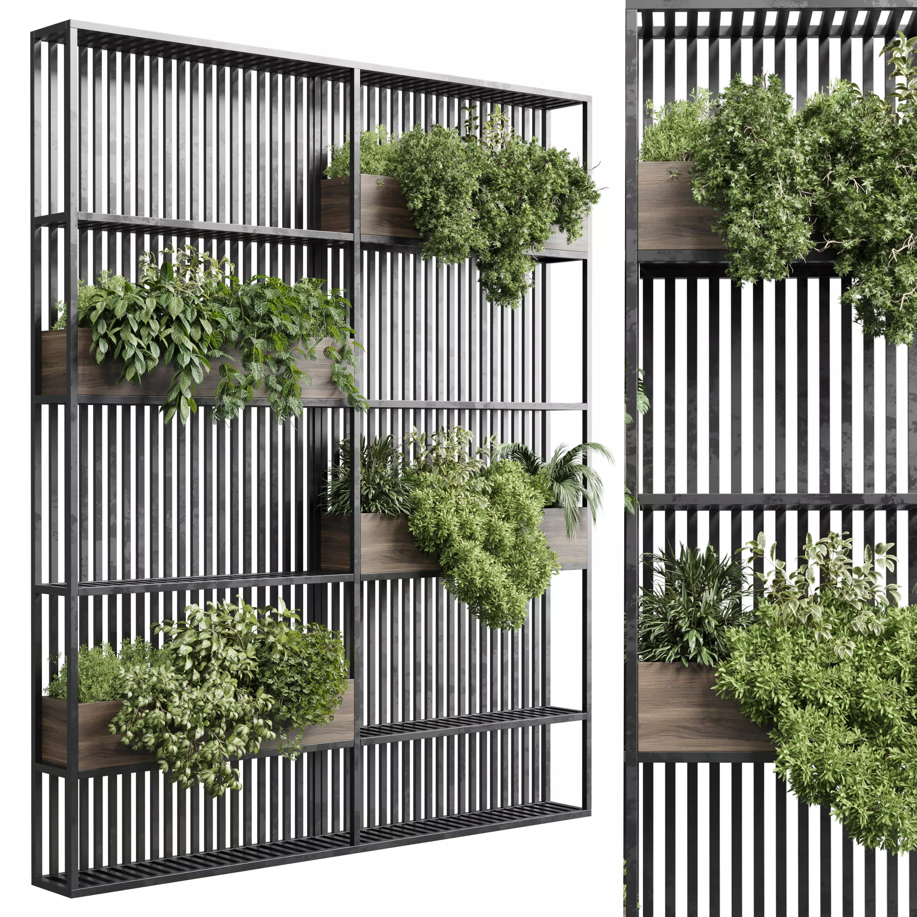 Stand metal shelf with wall plant - hanging plants balcony  Low-poly 3D model_0