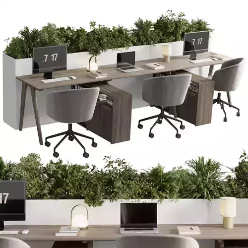 Workplace  office furniture - Employee desk 26