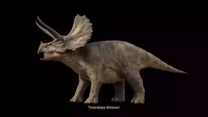 Herbivore Dinosaurs 3D Model Collection