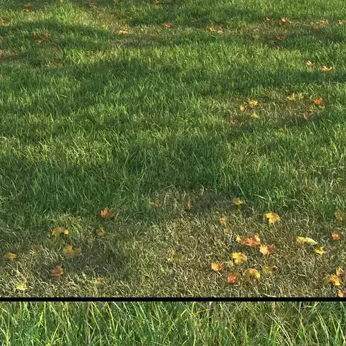 SHORT GRASS11 WITH LEAF 3D model