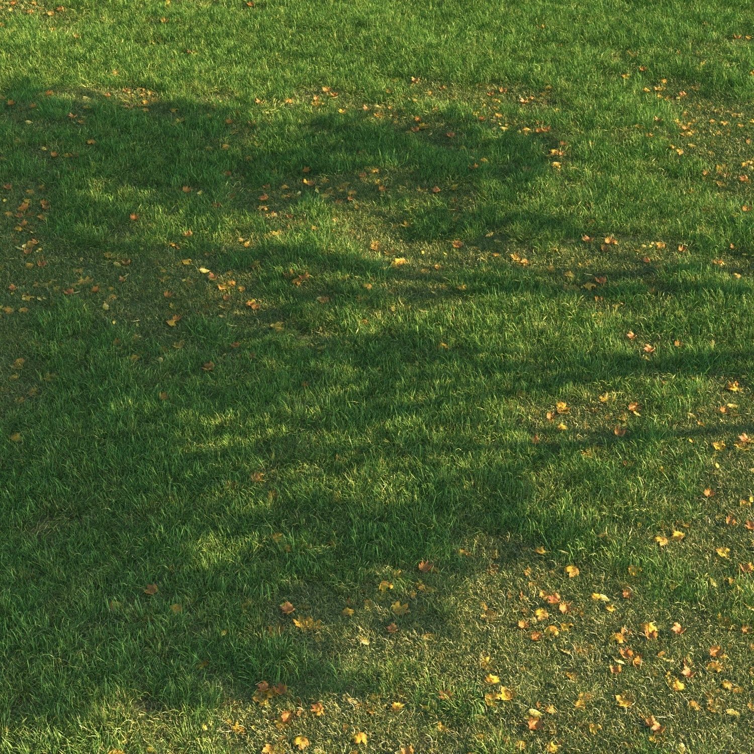 SHORT GRASS11 WITH LEAF 3D model_2