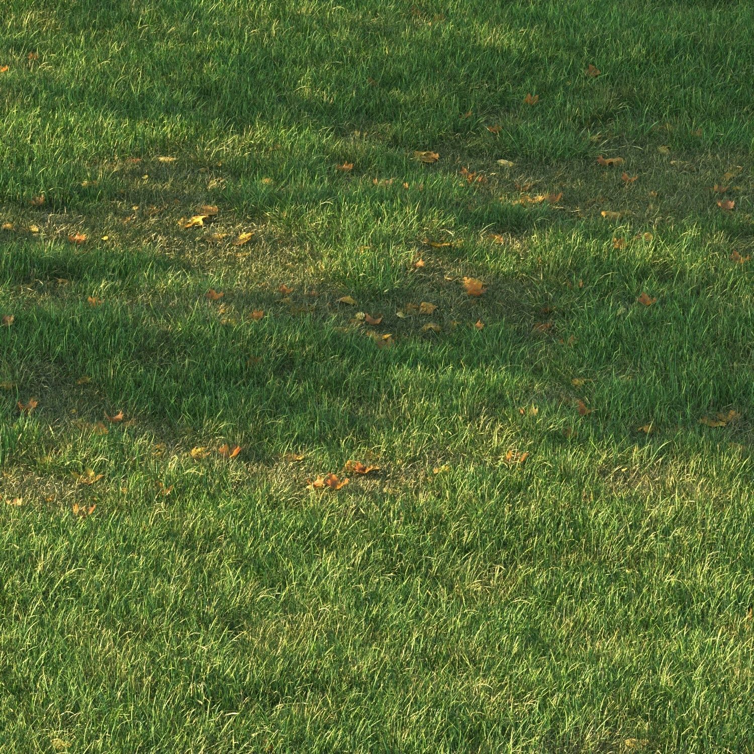 SHORT GRASS11 WITH LEAF 3D model_1