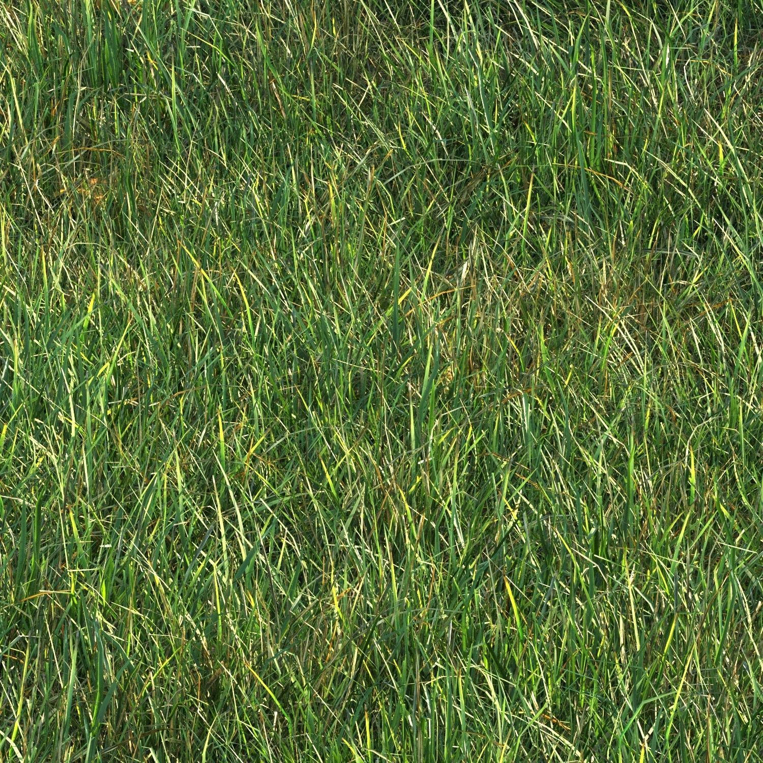 SHORT GRASS11 WITH LEAF 3D model_4