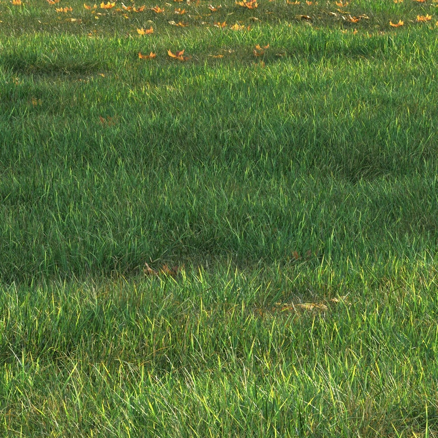 SHORT GRASS11 WITH LEAF 3D model_3