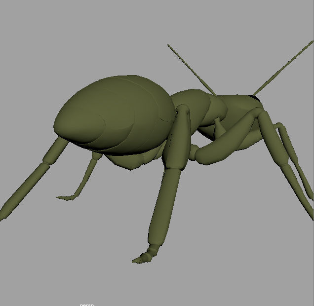 Ant 3d model Low-poly 3D model_3