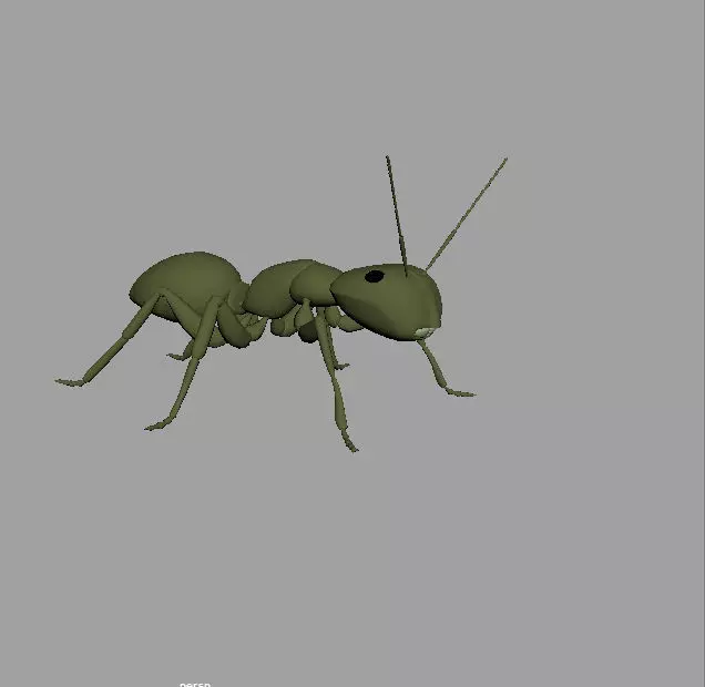 Ant 3d model Low-poly 3D model_0