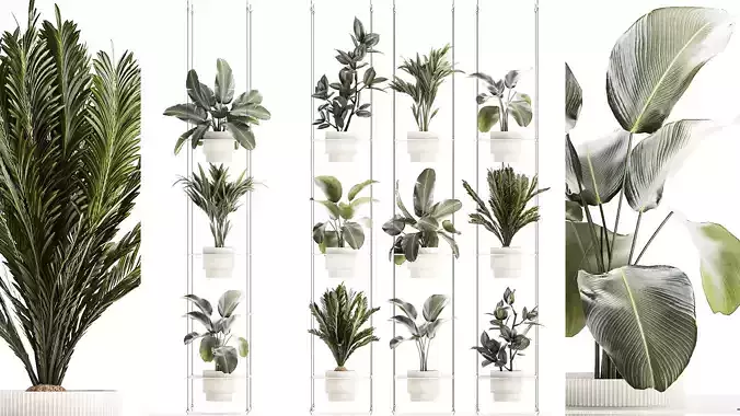 Rope shelf Cycas Ficus Calathea Strelitzia pot 1425 3D model