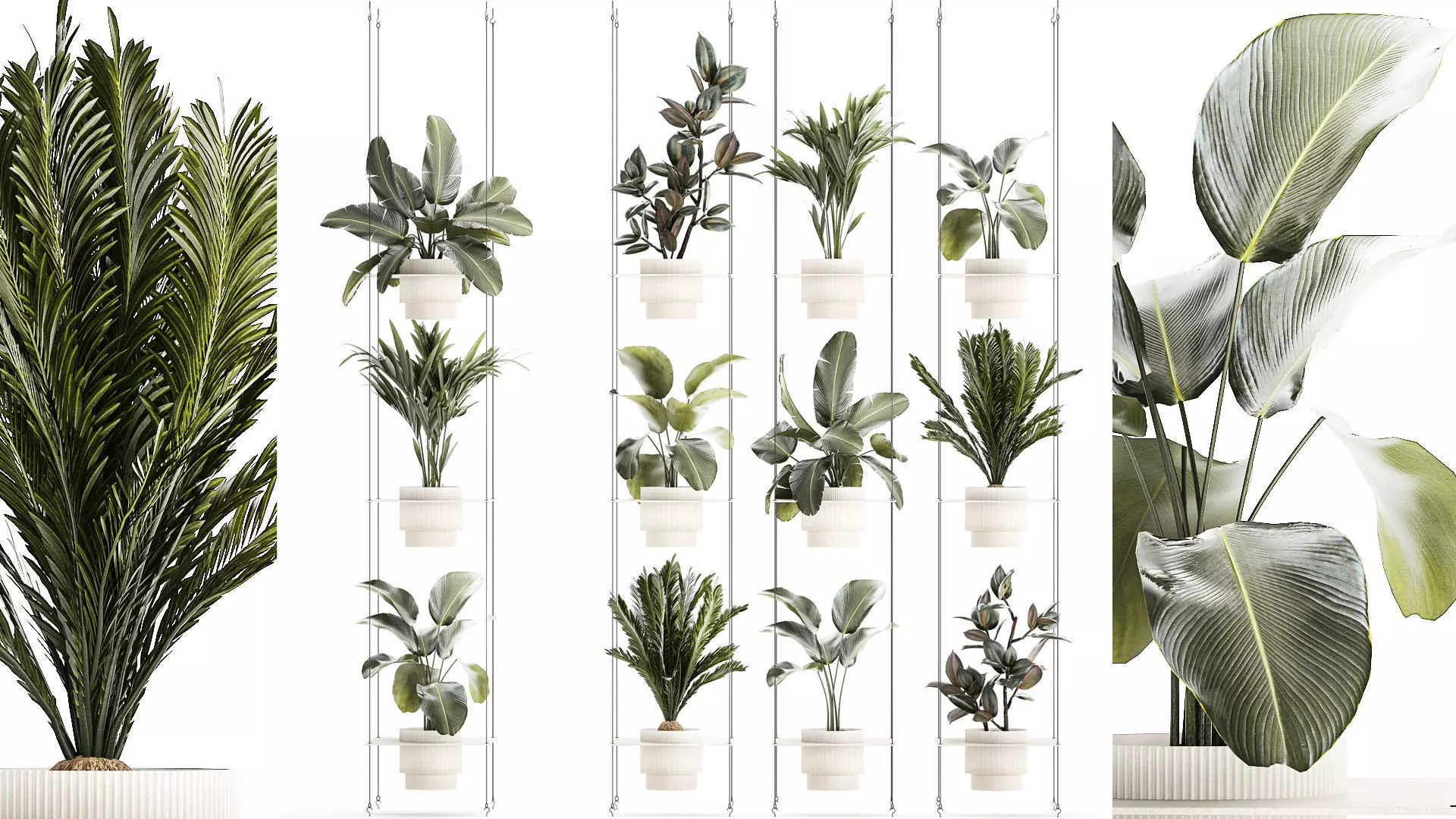 Rope shelf Cycas Ficus Calathea Strelitzia pot 1425 3D model | CGTrader