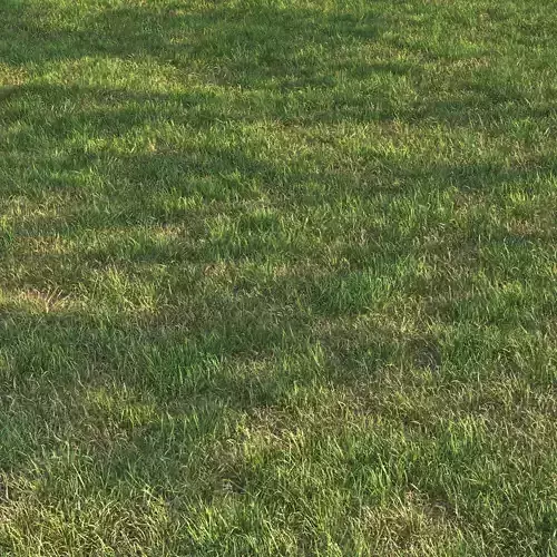 grass12 3D model