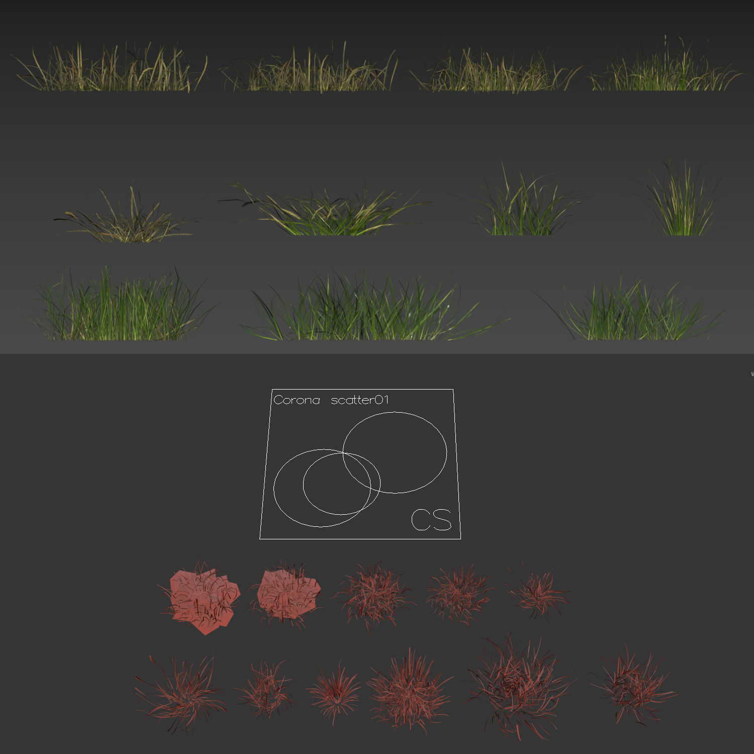 grass12 3D model_4
