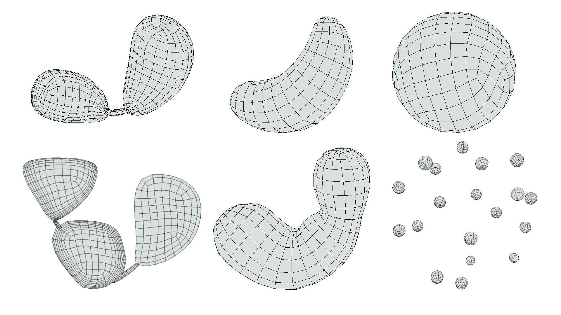 White Blood Cells 3D model_7