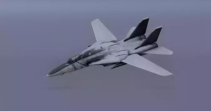F14 - Bombcat Military aircraft
