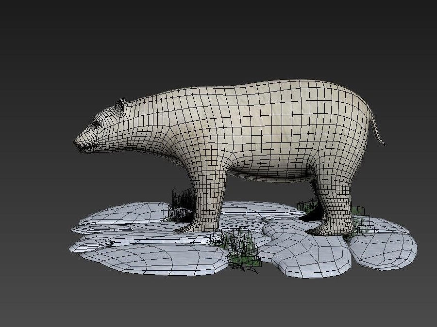 White Bear polar bear animal Ar VR animal 3D model_4