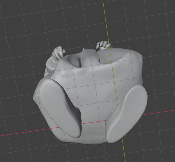 Isaac Newton 3D print model_26