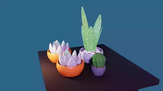 cactus plants