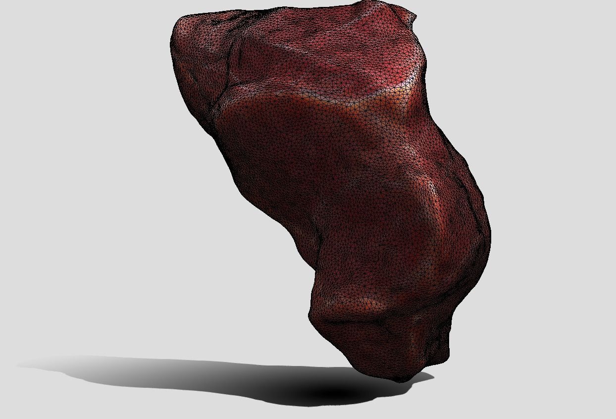 Stylized Meat Flesh Piece 3D model_2