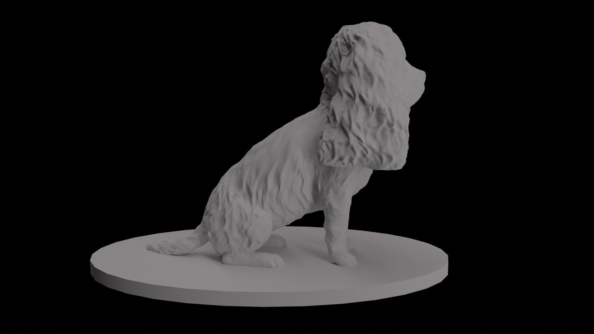Cavalier King Charles Spaniel 3D model_2