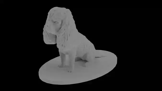 Cavalier King Charles Spaniel