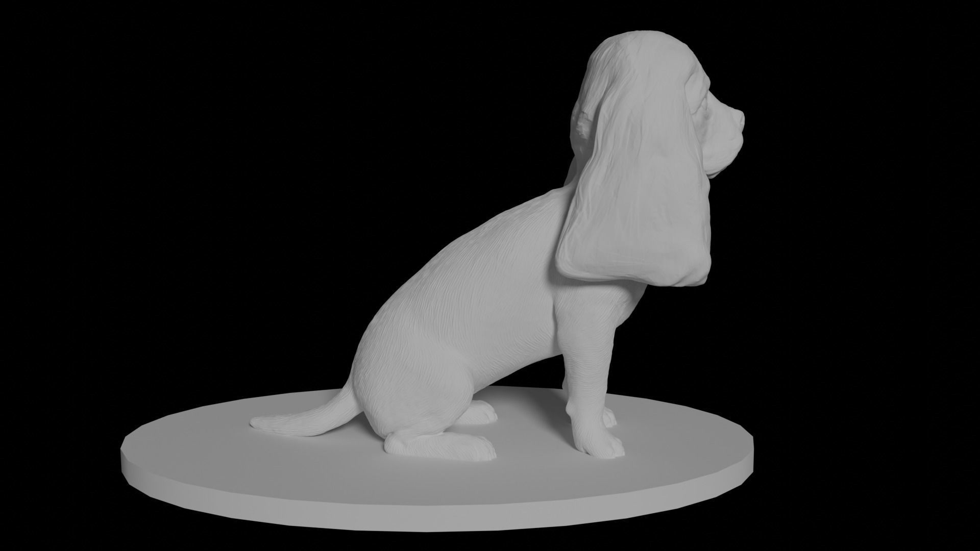 Cavalier King Charles Spaniel 3D model_6