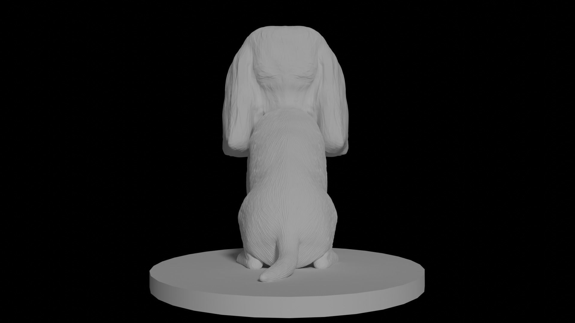 Cavalier King Charles Spaniel 3D model_7