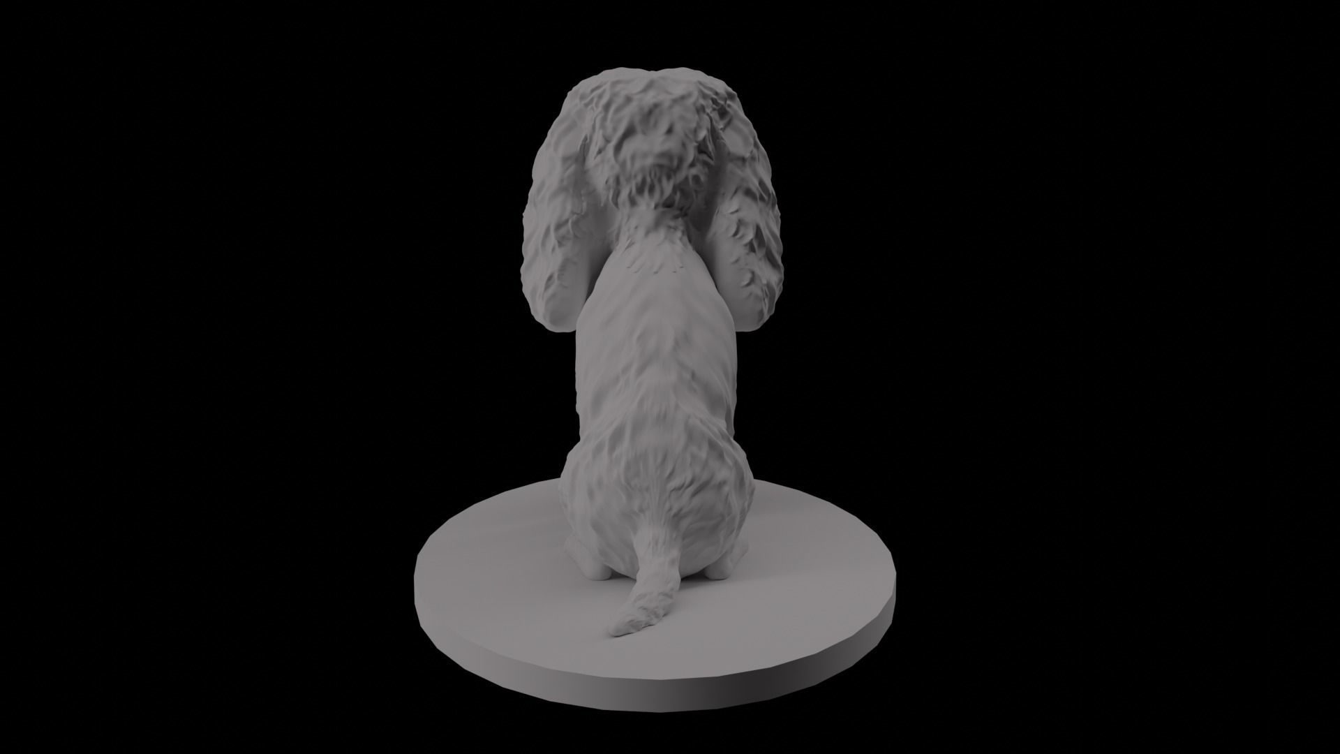 Cavalier King Charles Spaniel 3D model_3