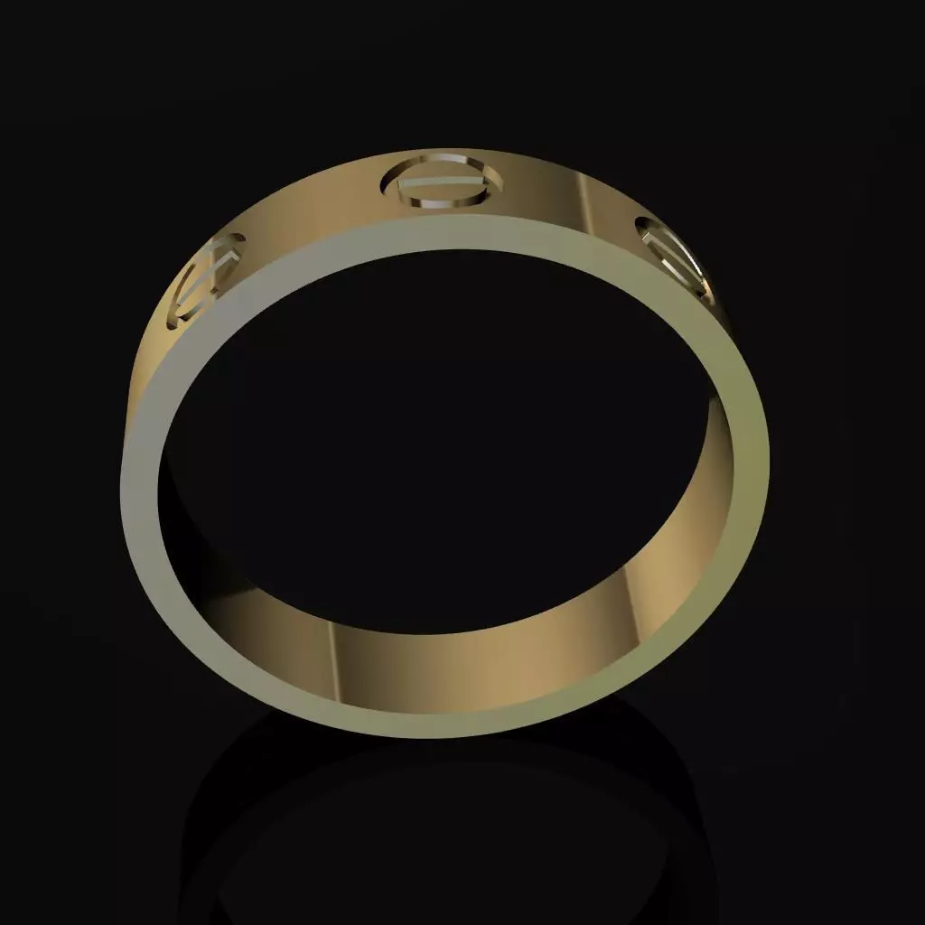 ARGOLLA DE TORNILLOS MODELO 3D  3D print model_0