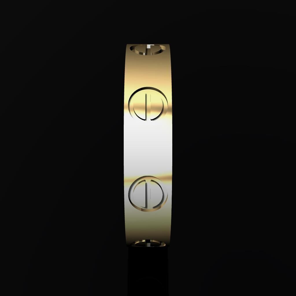 ARGOLLA DE TORNILLOS MODELO 3D  3D print model_1