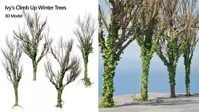 Ivy Climbers on Winter Trees Low-poly 3D model