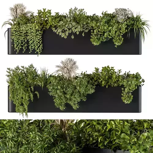 Plant Box on Wall