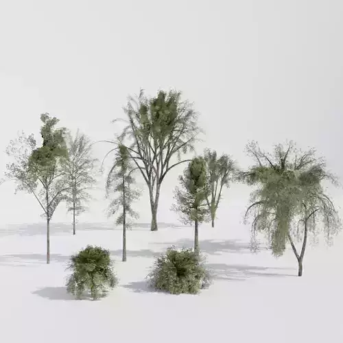 Plants Pack Tree and Bush Tree