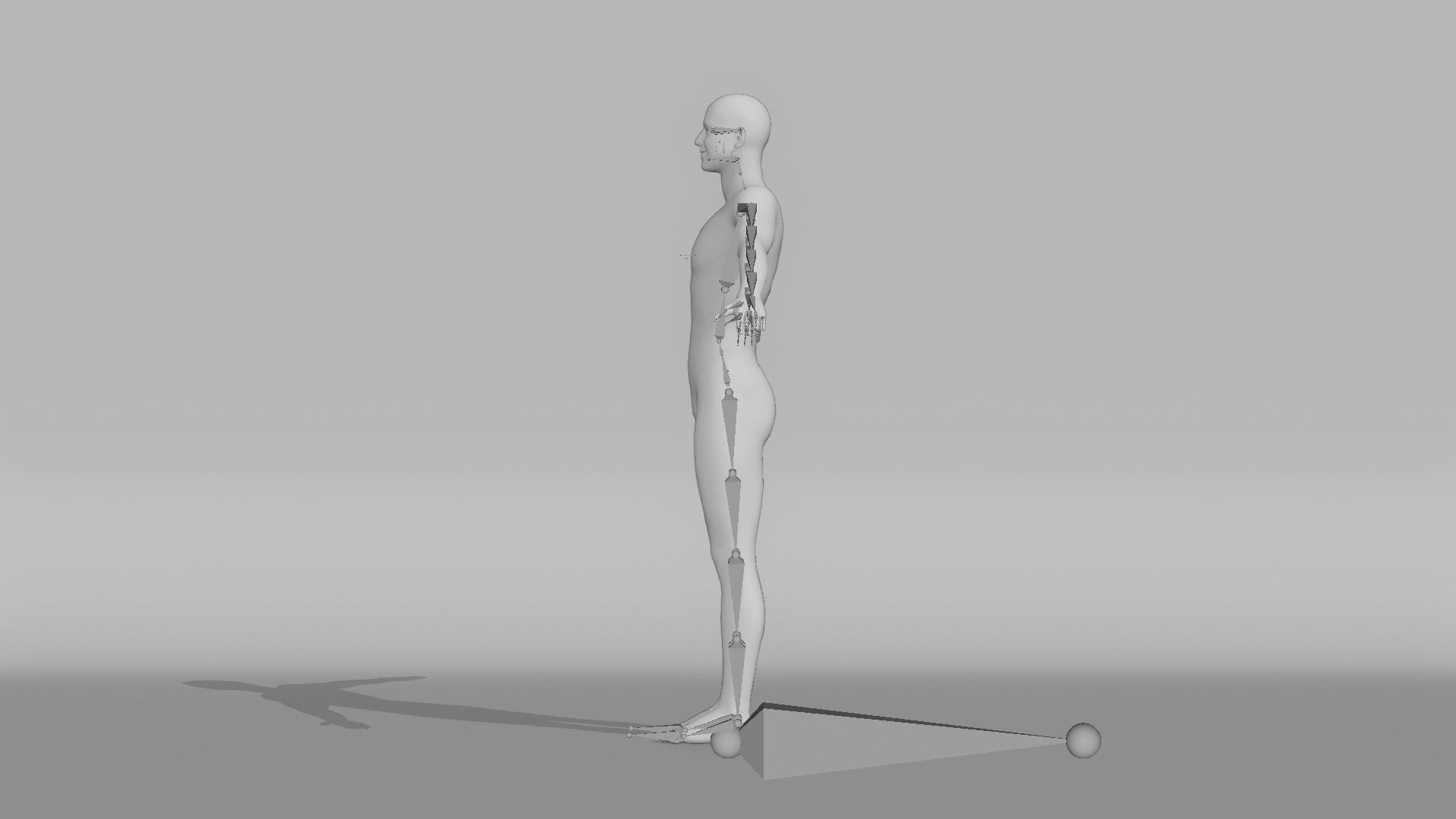 Realistic Male Character - Bongie 3D model_14