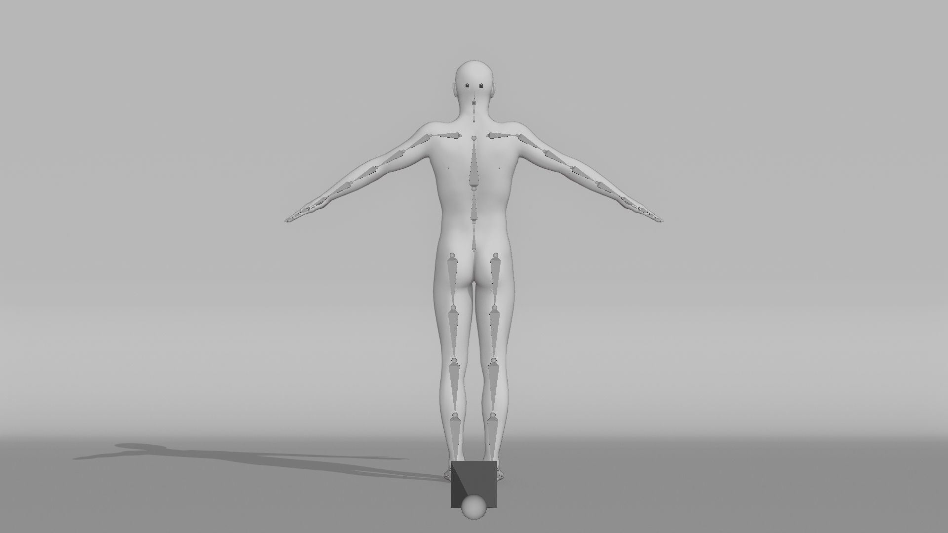 Realistic Male Character - Bongie 3D model_13