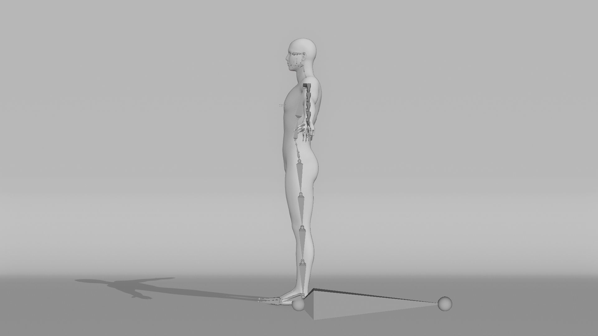 Realistic Male Character - Yan-Ming 3D model_14